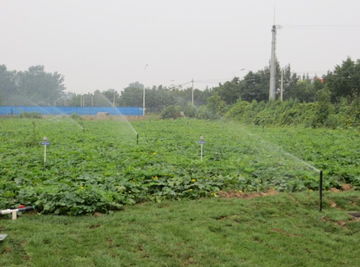 水利部產品質量監督總站與中國水利企業協會機械分會的角色及其對水利機械產業發展的影響